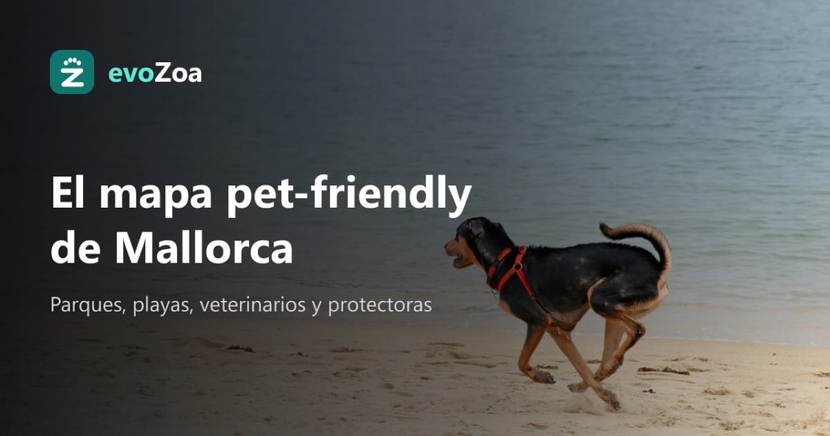 Directorio y mapa pet-friendly evoZoa en Mallorca